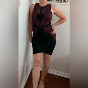 ASTR the Label Mesh Lace Mini Bodycon Dress